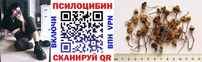 Псилоцибиновые грибы Magic Shrooms  Ветлуга 